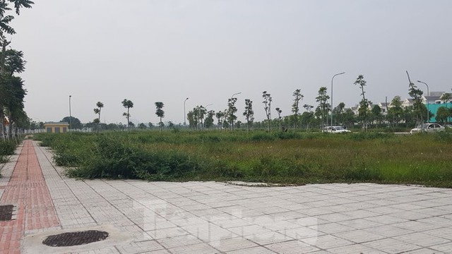 Hà Nội: Lình xình đấu giá khu đất vàng ở Long Biên - Ảnh 5.