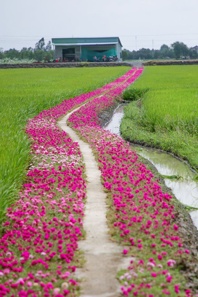 Mẩu chuyện nhỏ ngày đầu năm nhất định sẽ khiến bạn cảm thấy ấm áp: Mỗi ngày gieo một hạt mầm nhỏ, cuộc sống nhất định sẽ cho bạn cả một vườn hoa - Ảnh 2.