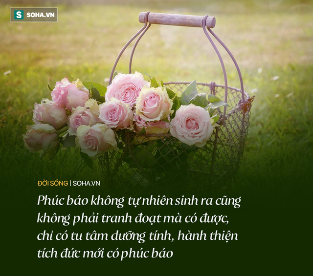 Ngày nào cũng cho vị đạo sĩ vài cái bánh bao, bà cụ được trả ơn bằng 1 thông tin đắt giá, con cháu đời đời hưng thịnh - Ảnh 2.