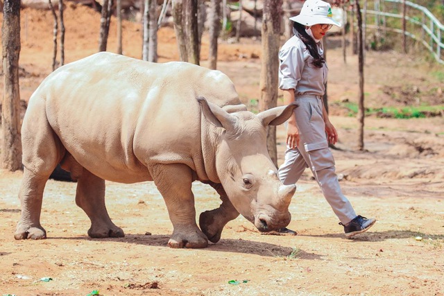 3 vườn thú safari ở Việt Nam: Tận mắt chiêm ngưỡng thế giới hoang dã với giá cực phải chăng, phù hợp với các gia đình có con nhỏ - Ảnh 10.