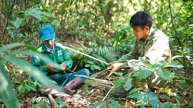 Bỏ việc lương 10 triệu, chàng trai về quê trồng rau, nuôi gà: Bình yên nhưng không dễ dàng - Ảnh 9.