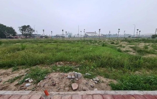 Vùng ven Hà Nội đua nhau đấu giá giữa lúc thị trường trầm lắng - Ảnh 1.