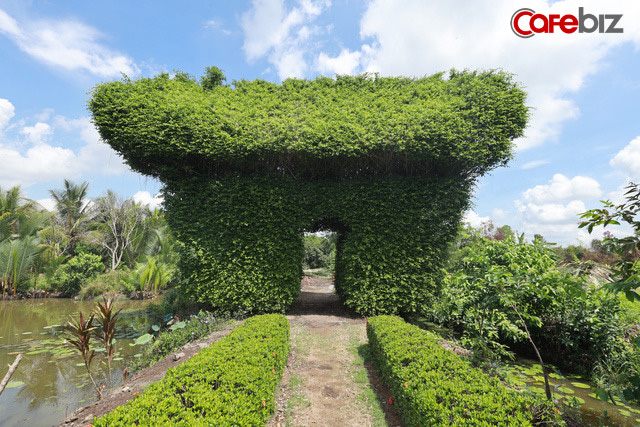 Nếu mà mệt quá, giữa thành phố sống chồng lên nhau thì hãy về Nhà Dì Sáu - khu nghỉ dưỡng sinh thái đậm chất miền Tây, tha hồ sống chậm, sống xanh - Ảnh 2.