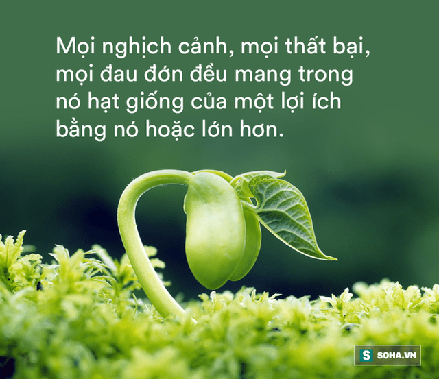  Chỉ cần làm 4 việc này, cuộc đời mỗi người tự khắc sẽ đổi vận: Nên biết để tận dụng hiệu quả! - Ảnh 3.