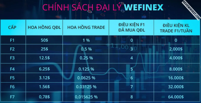 Sàn giao dịch tiền ảo Wefinex bị chặn vì vi phạm pháp luật, hàng nghìn nhà đầu tư náo loạn, hàng trăm tỷ bốc hơi - Ảnh 3.