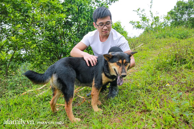 Chàng công tử đất Hà thành bỏ phố lên núi làm chủ 3 quả đồi trồng cam, mỗi năm kiếm cả tỷ bỏ túi nhưng cũng bị vùi dập đến tơi bời - Ảnh 9.