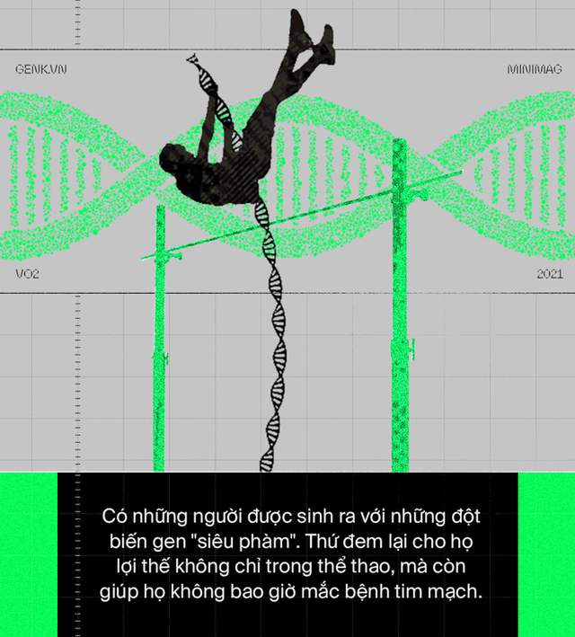 Làm sao để nâng cấp một trái tim? Hãy cấy DNA từ những nhà vô địch Olympic - Ảnh 11.