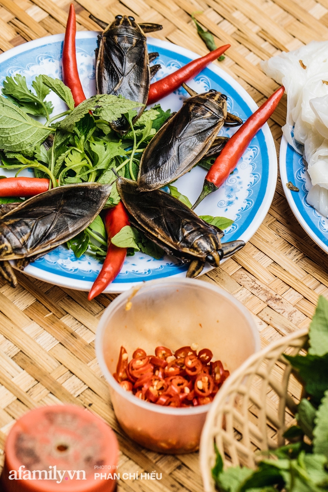 Bánh cuốn cà cuống: Món ăn tưởng đã thất truyền, nào ngờ vẫn được người phụ nữ 30 năm bán trên phố Nguyễn Khuyến gìn giữ, ai ăn thử một lần nghiện đến khó quên - Ảnh 9.