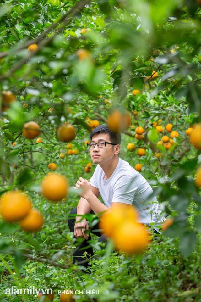 Chàng công tử đất Hà thành bỏ phố lên núi làm chủ 3 quả đồi trồng cam, mỗi năm kiếm cả tỷ bỏ túi nhưng cũng bị vùi dập đến tơi bời - Ảnh 12.