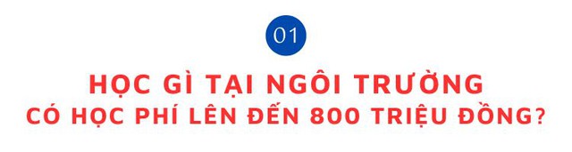 Trường đại học đạt chuẩn quốc tế "Made in Vietnam" của tỷ phú Phạm Nhật Vượng: Đầu tư ‘khủng’ 6.500 tỷ đồng nhưng tuyên bố hoạt động phi lợi nhuận - Ảnh 2.