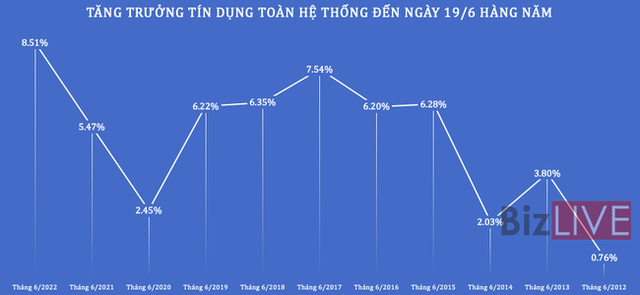 Lấy lượng bù chất - Khác biệt lợi nhuận ngân hàng nửa đầu 2022 - Ảnh 1.