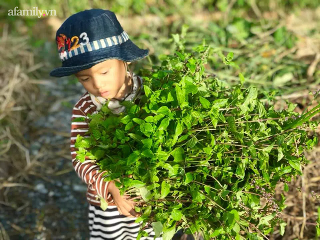 Bà mẹ 2 con bỏ phố về quê sống cuộc sống đẹp như tranh, chia sẻ kinh nghiệm đồng hành cùng con khiến ai nấy xuýt xoa - Ảnh 15.
