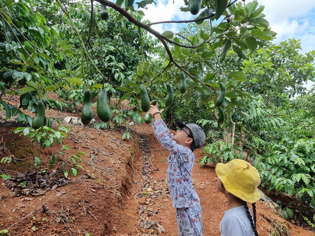 Trốn dịch, bỏ Sài Gòn về rừng sống, gia đình trẻ được chan hoà với thiên nhiên cây cỏ, nhưng đây mới thực là “nỗi khiếp sợ” khi ở trong Farmstay 2 tháng trời - Ảnh 4.