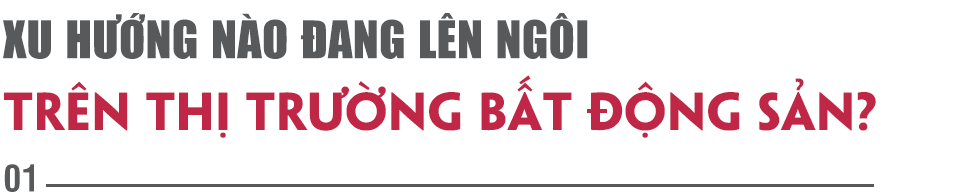 Thế chân kiềng vững chắc tạo dựng vị thế mới cho Cát Tường Group trên thị trường bất động sản - Ảnh 1.