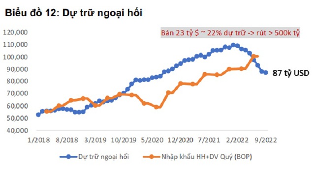 CEO WiGroup: Dự trữ ngoại hối Việt Nam còn khoảng 87 tỷ USD - Ảnh 3.