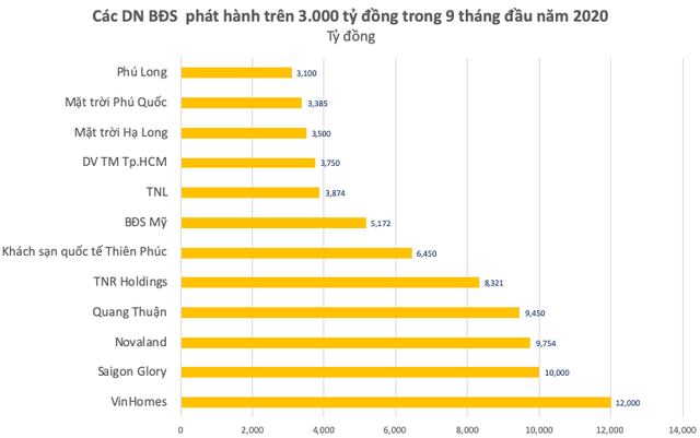 HoREA: Một số trái phiếu doanh nghiệp bất động sản có nguy cơ chuyển thành nợ xấu - Ảnh 1.