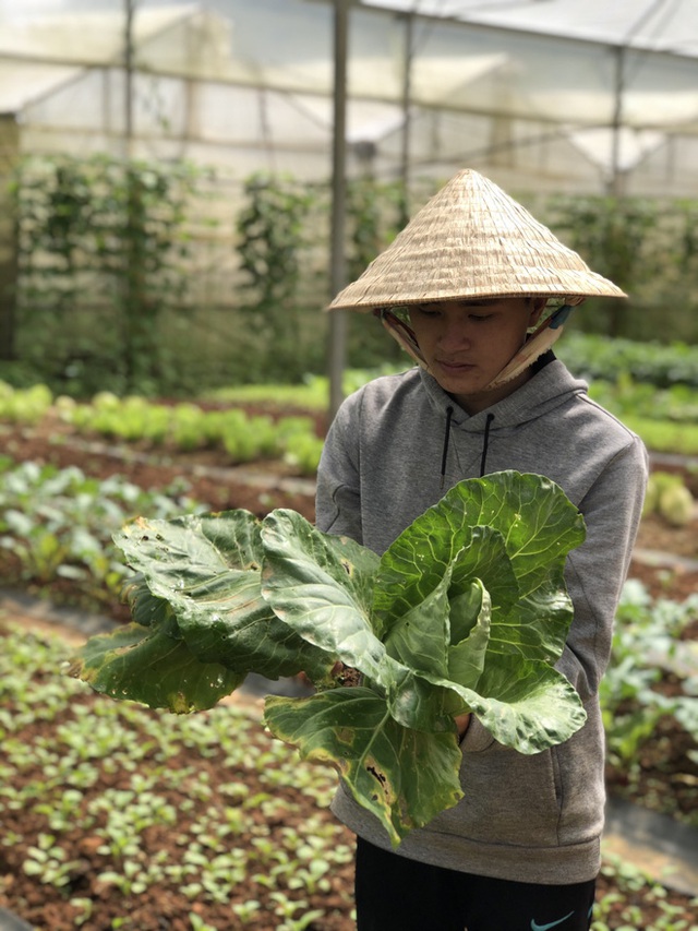 Cử nhân Luật bỏ thành phố lên Đà Lạt trồng rau, bị cha mẹ phản đối nhưng 1 năm sau nhận lại thành quả bất ngờ - Ảnh 12.