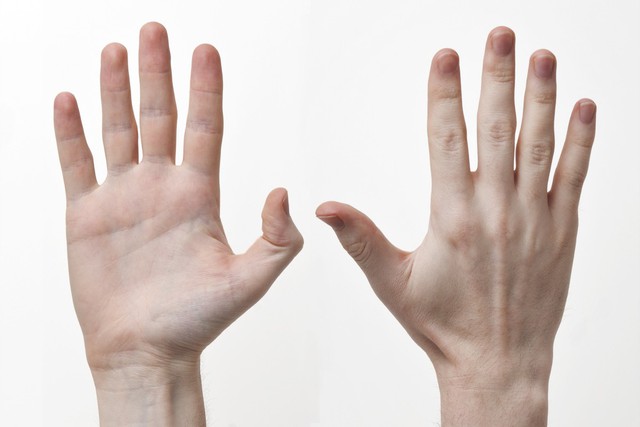 12 bộ phận trên cơ thể có thể hé lộ trí thông minh của bạn - Ảnh 5.