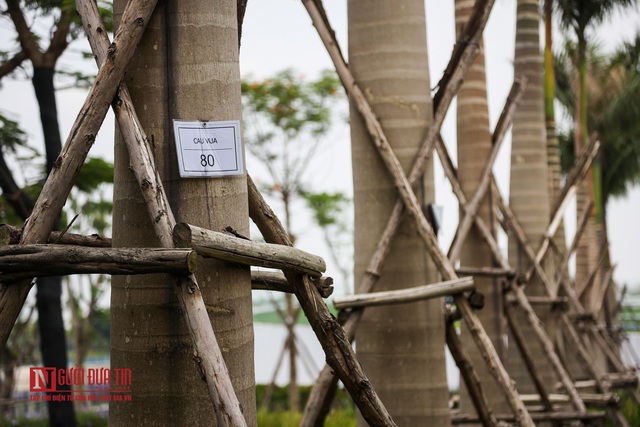 Bên trong công viên thiên văn học đầu tiên ở Đông Nam Á - Ảnh 13.