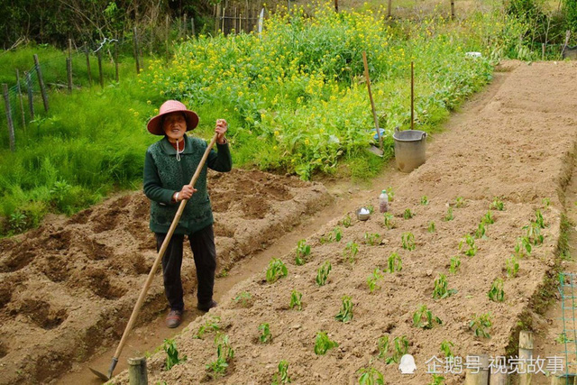 Thanh xuân sống một đời vương giả lấp lánh ánh đèn thành thị, đến khi có tuổi chọn bỏ phố về quê - Ảnh 6.