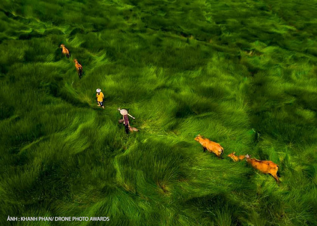 Hàng loạt tác phẩm của Việt Nam lọt top cuộc thi Drone Photo Awards 2020, tấm ảnh đạt giải nhất quá xuất sắc vì độ ảo diệu - Ảnh 3.