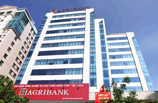 Agribank rao bán nợ của nhóm khách hàng thế chấp cổ phiếu EVN Finance - Ảnh 1.