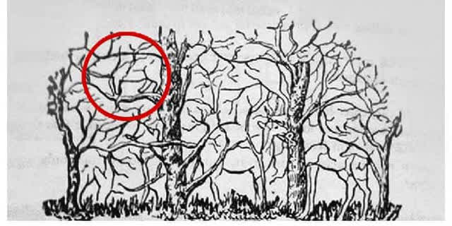 photo-1