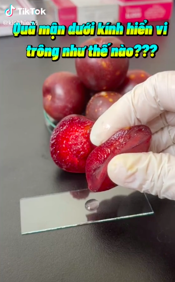 Kết quả bất ngờ khi soi quả mận dưới kính hiển vi và 5 đối tượng dù thèm cũng không nên ăn mận kẻo rước bệnh vào người - Ảnh 2.