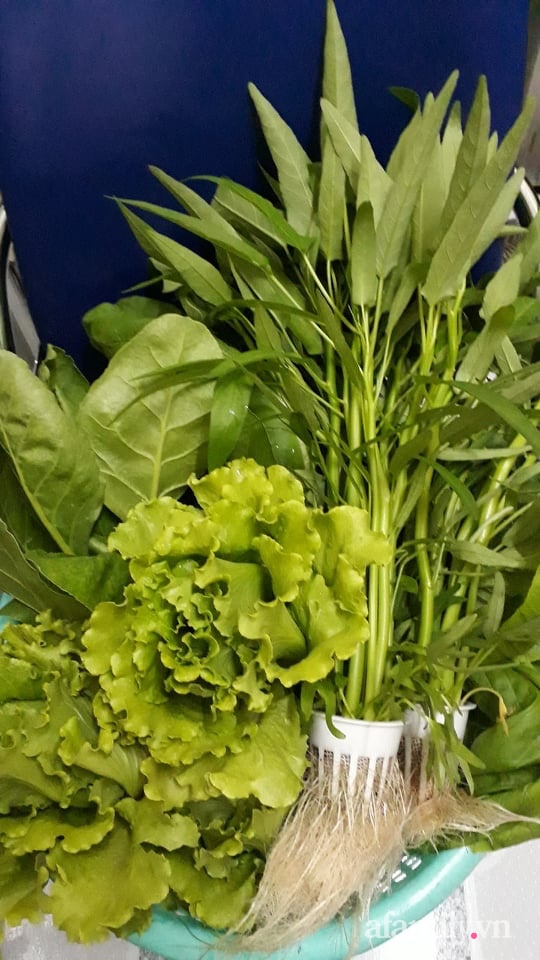 Dù không có sân thượng nhưng mẹ đảm ở Sài Gòn vẫn có được vườn nông sản xanh mướt trên mái tôn - Ảnh 32.