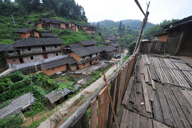 Ngôi làng nằm giữa ao tù nước đọng nhưng hơn 100 năm không có muỗi ở Trung Quốc - Ảnh 2.