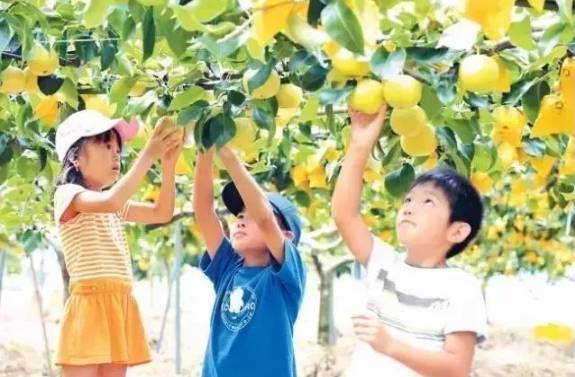 Thiếu nữ 19 tuổi suýt chết vì chế độ ăn uống sai lầm mà nhiều người trẻ mắc phải: Bác sĩ cảnh báo Nếu còn ăn uống như thế này thì vẫn phải nhập viện dài dài, ảnh hưởng nghiêm trọng đến tính mạng - Ảnh 3.