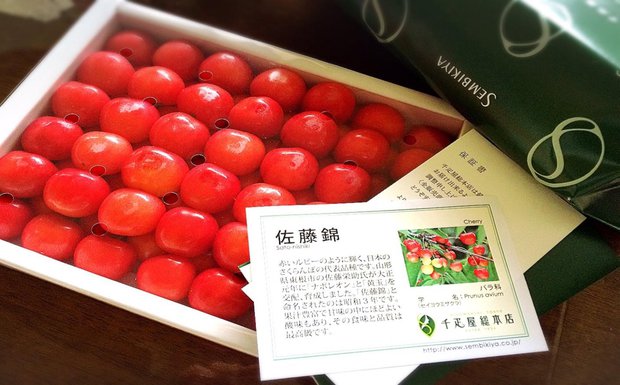  10 loại trái cây đến từ Nhật Bản đắt bậc nhất thế giới, có loại giá tới chục nghìn USD - Ảnh 2.