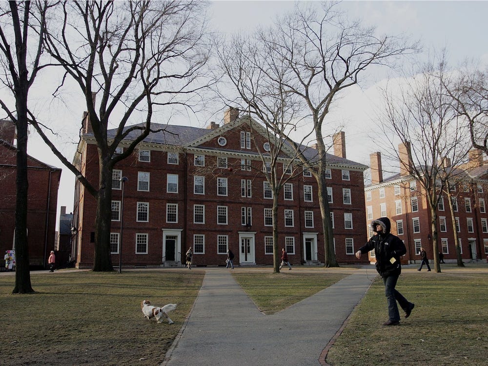 Hình ảnh khuôn viên và ký túc xá gây bất ngờ của Harvard - ngôi trường danh giá nhất hành tinh - Ảnh 5.