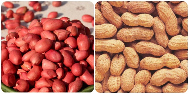 Hạt lạc có tác dụng gì? - Ảnh 1.