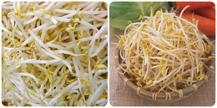 Giá đỗ có tác dụng gì? - Ảnh 1.