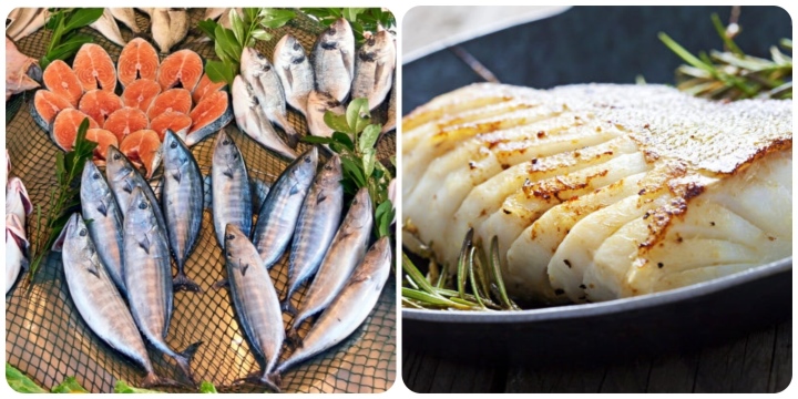 Cá bổ dưỡng nhưng lại 'đại kỵ' với 5 nhóm người này - Ảnh 1.