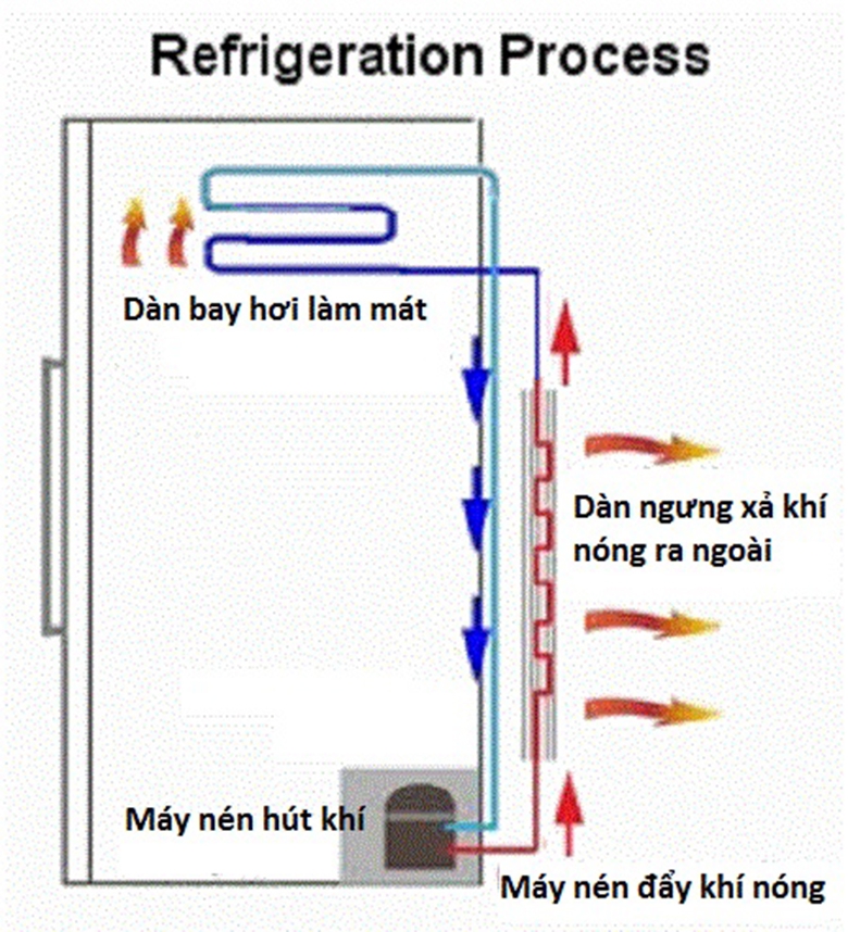 Đang bảo dưỡng, vệ sinh tủ lạnh, người dùng gặp tai nạn thương tâm: Nguyên nhân là những sai lầm phổ biến - Ảnh 2.