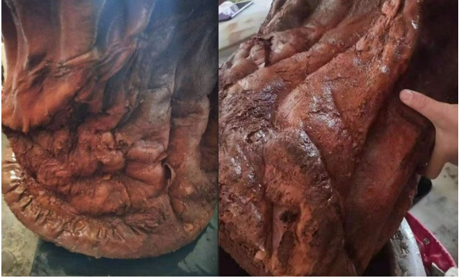 Nhặt được "khúc gỗ" nhăn nheo màu đỏ, người đàn ông vớ bẫm khi đem nó đi thẩm định - Ảnh 2.