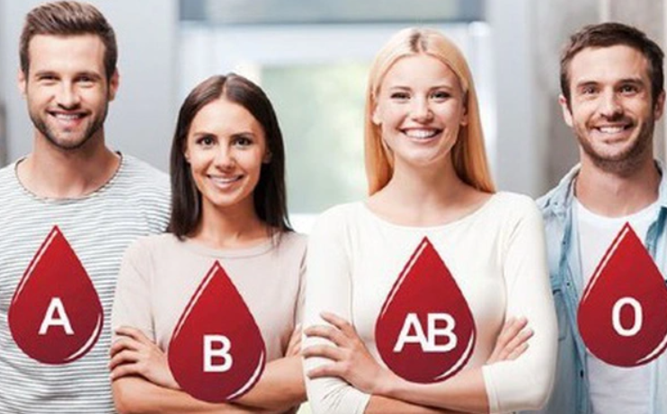 Người có nhóm máu nào sống thọ nhất? Nhóm máu B tuổi thọ trung bình 77 tuổi, nhóm máu "quốc dân" đứng vị trí đầu - Ảnh 2.