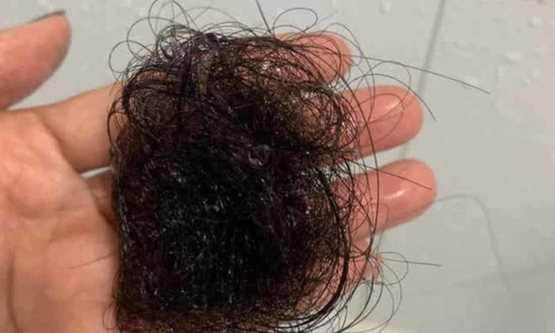 4 loại gia vị là