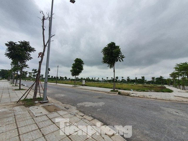 Bắc Ninh lên tiếng về lùm xùm bán nhà trên giấy tại dự án Vườn Sen - Ảnh 2.