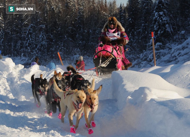 Cuộc đua kỳ lạ: Người về nhất nhận được 1.6 tỉ đồng nhưng phần thưởng giá trị nhất lại trao cho người về cuối cùng - Ảnh 3.