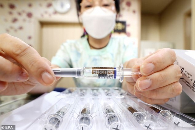 13 người Hàn Quốc thiệt mạng sau khi tiêm vaccine cúm - Ảnh 1.