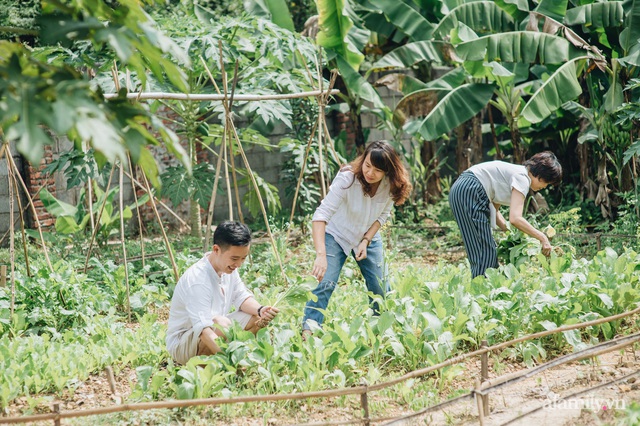 Cải tạo không gian rêu phong thành nhà vườn gói ghém những bình yên của người phụ nữ Hà Thành - Ảnh 16.