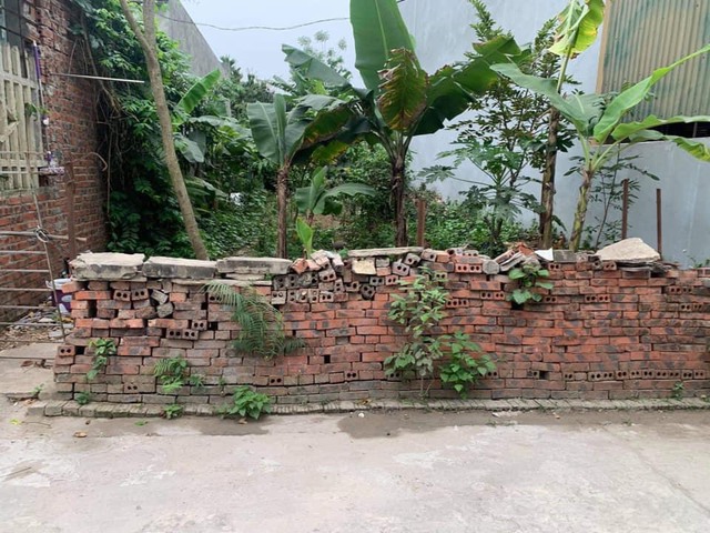 Thừa tiền mua đất cho vui, nhiều người bỗng chốc trở thành “đại gia” nhờ giá đất tăng phi mã - Ảnh 1.