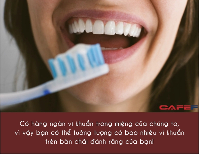 1 thứ siêu nhỏ nhưng cực bẩn trong nhà tắm, chứa tới hơn 10 triệu vi khuẩn nhưng người Việt hiếm khi để ý, có người dùng cả năm không thay - Ảnh 1.