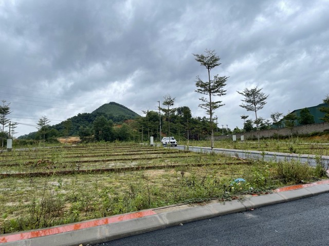 Tăng giá phi mã, thị trường bất động sản đang tiềm ấn dấu hiệu bất thường - Ảnh 1.