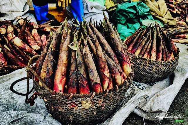 Đầu xuân rủ nhau lễ chùa Yên Tử: Nên đi những nơi nào, cần chuẩn bị bao nhiêu tiền, có gì mua về làm quà cho gia đình? - Ảnh 7.