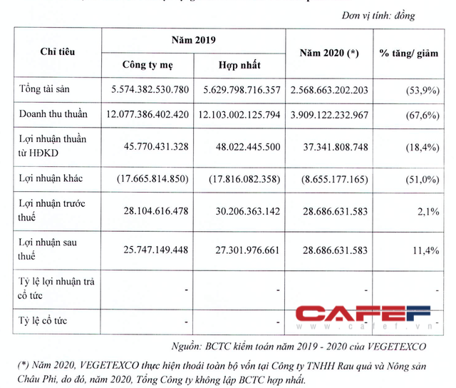 Khu đất 400m2 “đắp chiếu” cạnh khách sạn Metropole sắp được hồi sinh khi bầu Hiển rót 1.800 tỷ đồng tăng vốn cho Vegetexco - Ảnh 4.