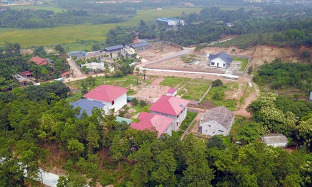 Phó Thủ tướng ‘lệnh’ xử lý dứt điểm việc xây biệt thự trên đất rừng ở Vĩnh Phúc - Ảnh 2.
